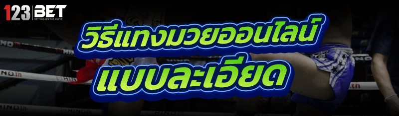 วิธี แทงมวยออนไลน์ แบบละเอียด